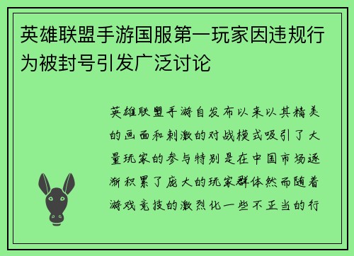 英雄联盟手游国服第一玩家因违规行为被封号引发广泛讨论